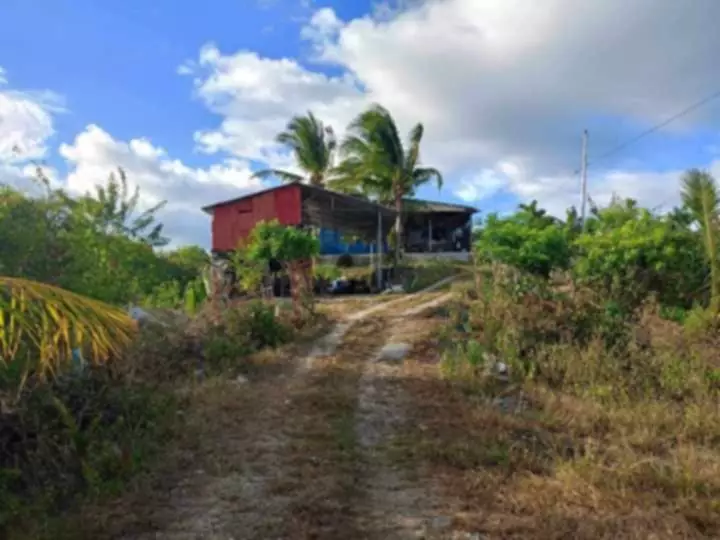 Farm Lot for Sale in Sua Argao Cebu — Agricultural Lot in Argao, Cebu, Philippines — Photo 5