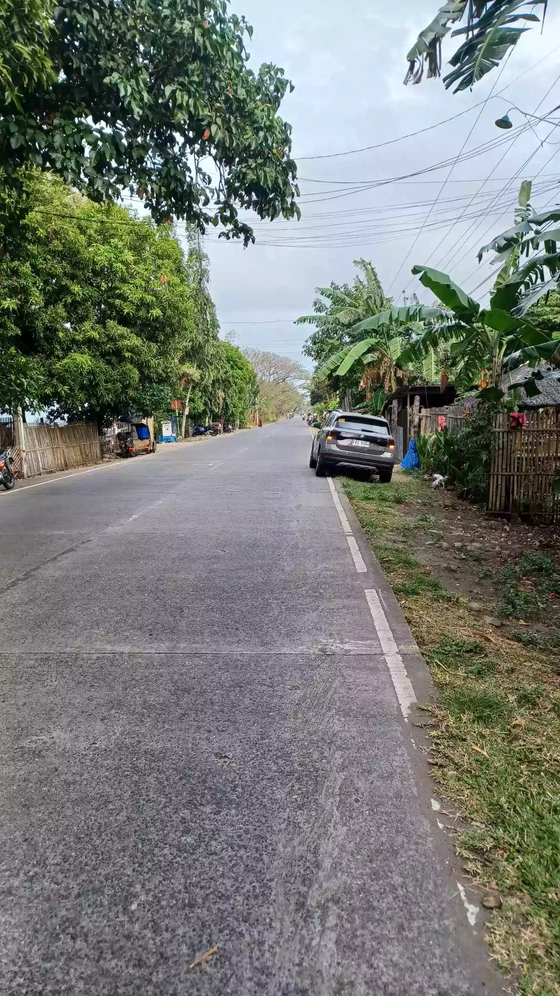 Pulupandan Lot for sale along the road — Commercial Lot in Negros South Road, Pulupandan, Negros Occidental — Photo 4