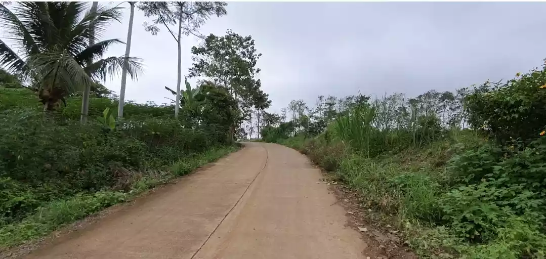 Amazing view! 16 Hectares Land for Sale - photo 2