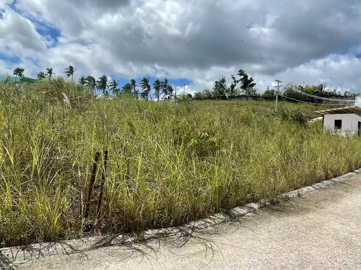 LOT FOR SALE - El Monte Grande Heights at San Vicente, Liloan Cebu — Residential Lot in Liloan, Cebu, Philippines — Photo 3