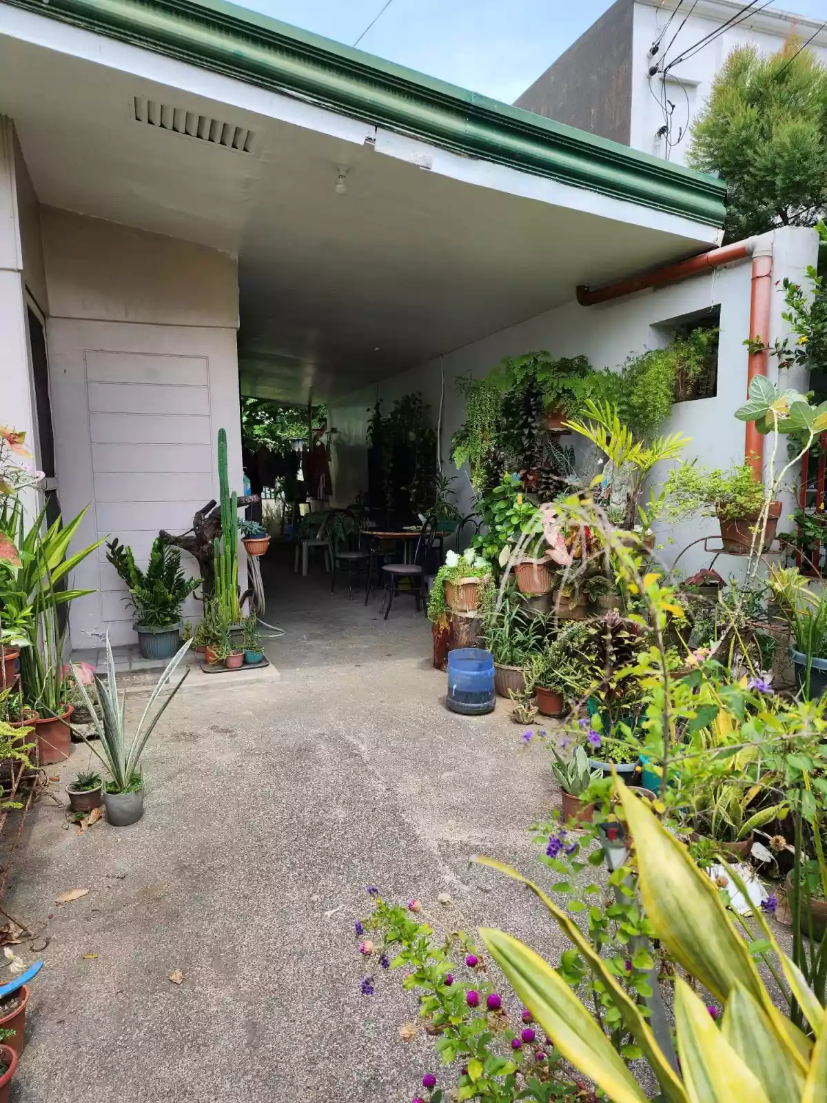 Morning Mist House For Sale - photo 2