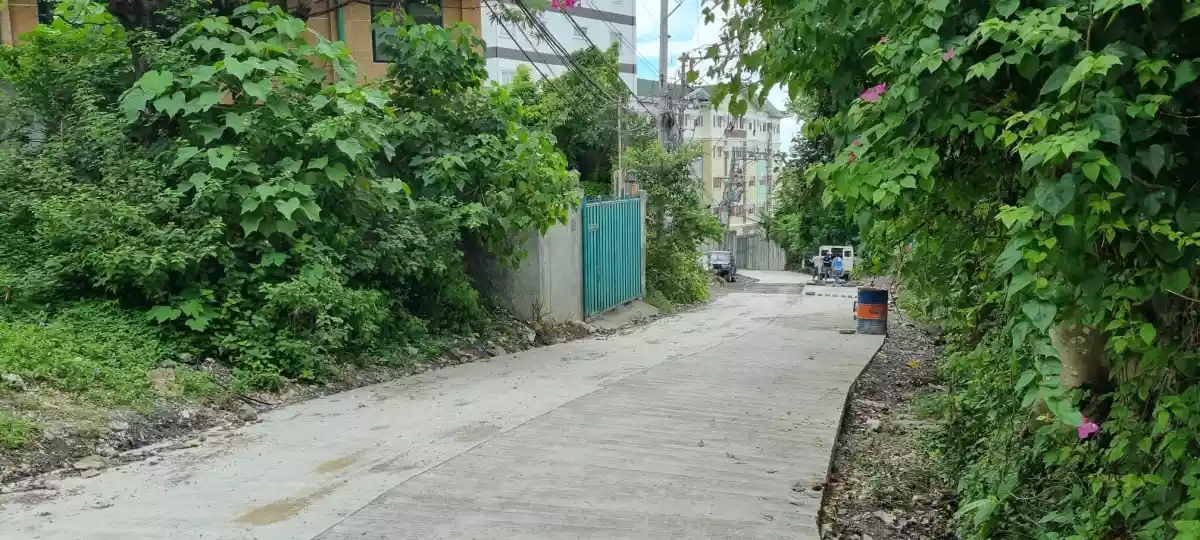 Residential lot sale in Banawa Cebu CIty - photo 2