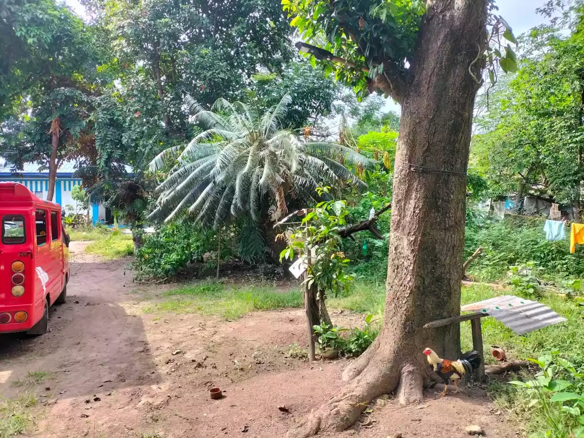 Junob Lot, Dumaguete City — Agricultural Lot in Negros Oriental, Philippines — Photo 6