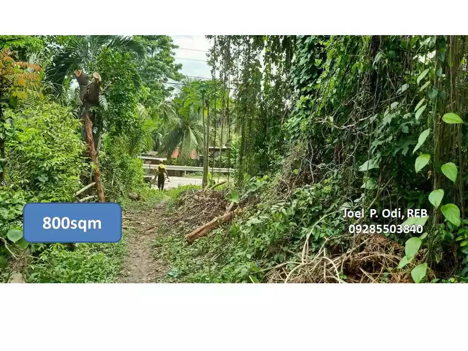 For Sale: LOT ( classified as commercial & residential ) along main highway at Samal Island Davao — Commercial Lot in Samal, Island Garden City of Samal, Davao del Norte — Photo 6