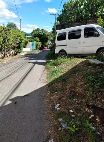Rud Espino — Residential Lot in Cebu City, Cebu, Philippines — Photo 6