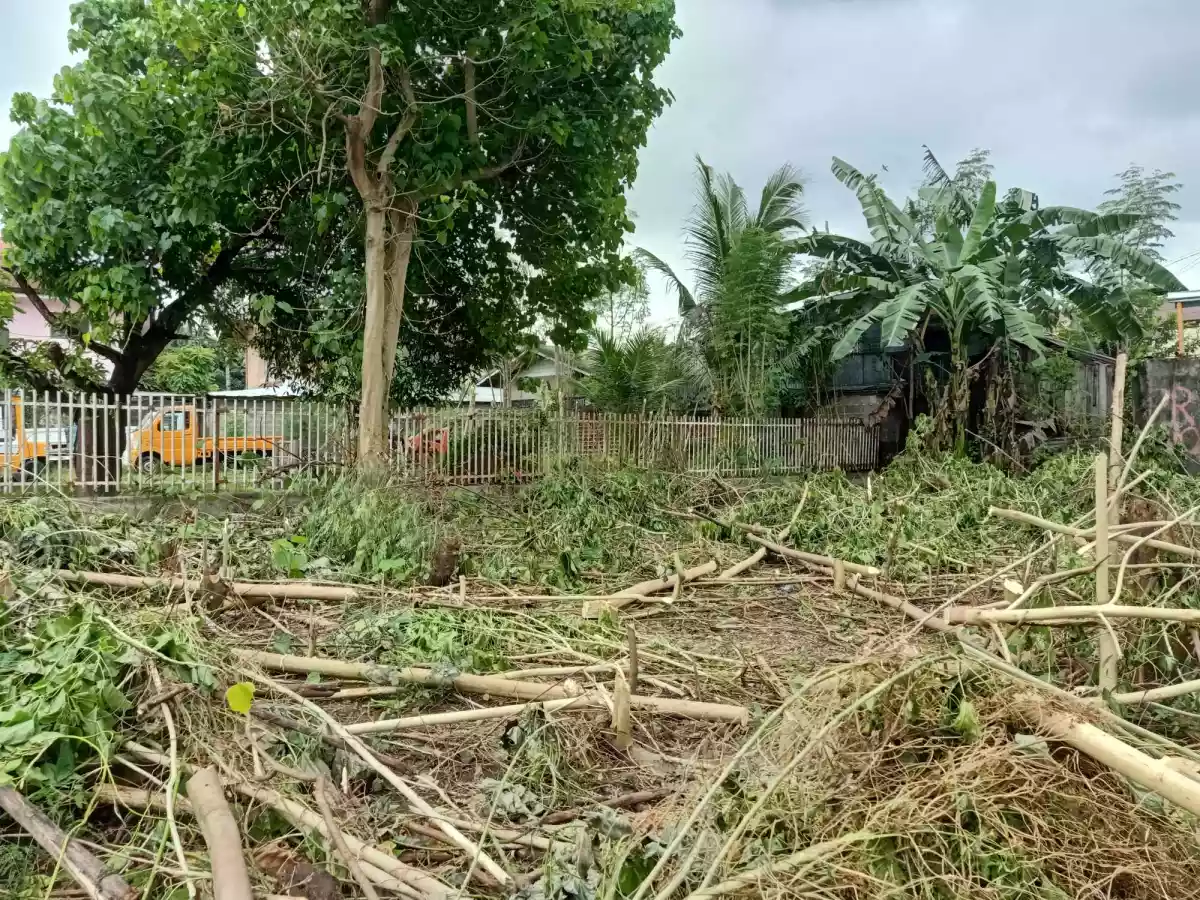 Open photo 16 of 17 — LOT FOR SALE