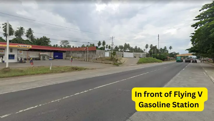 LOT FOR SALE INAWAYAN TORIL - photo 4