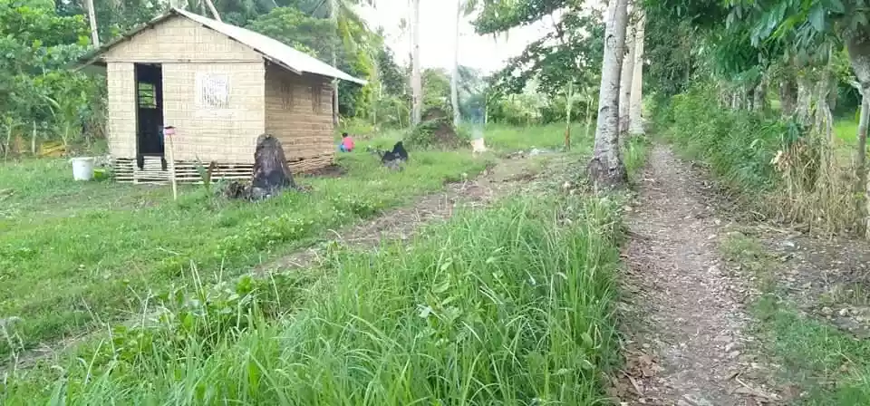 Lot for sale along provincial highway of Poblacion Pio V. Corpus Masbate — Residential Lot in Masbate, Philippines — Photo 4
