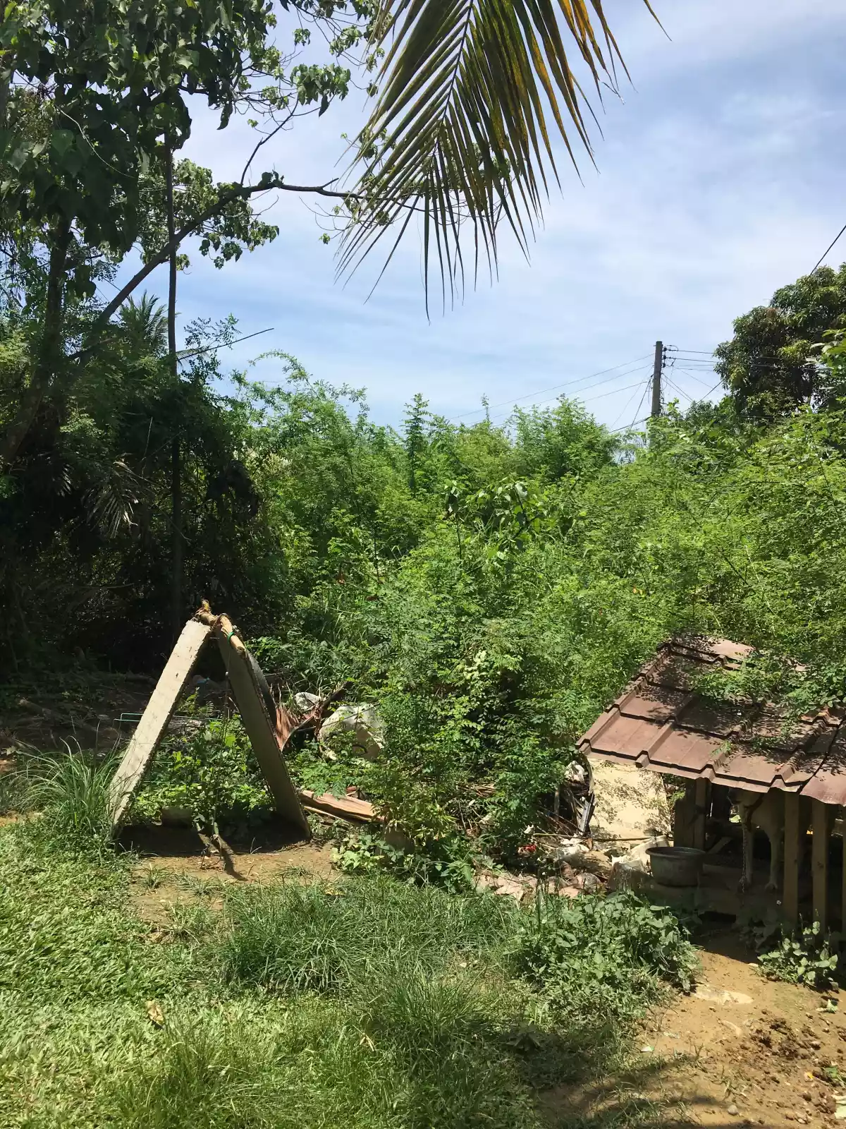 Kauswagan Lot for Sale