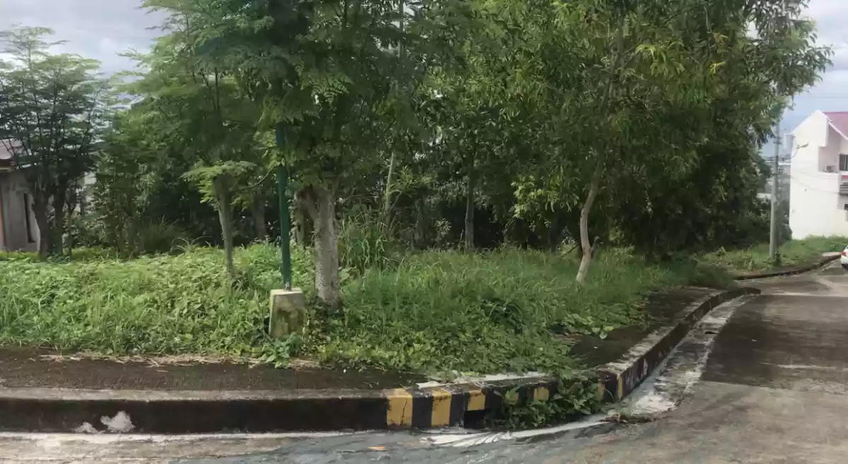 Vista Grande Pacific Heights Lot For Sale