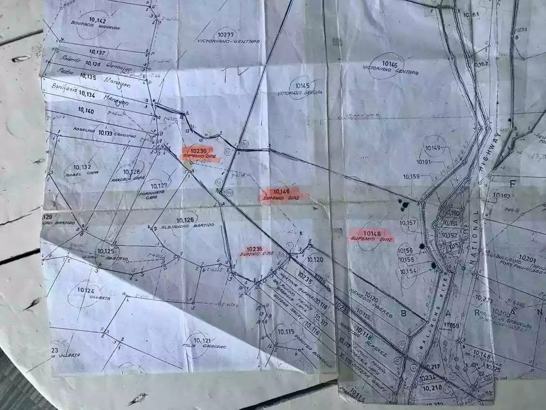 BALIRONG INDUSTRIAL/FARM LOT — Industrial Lot in City of Naga, Cebu, Philippines — Photo 2
