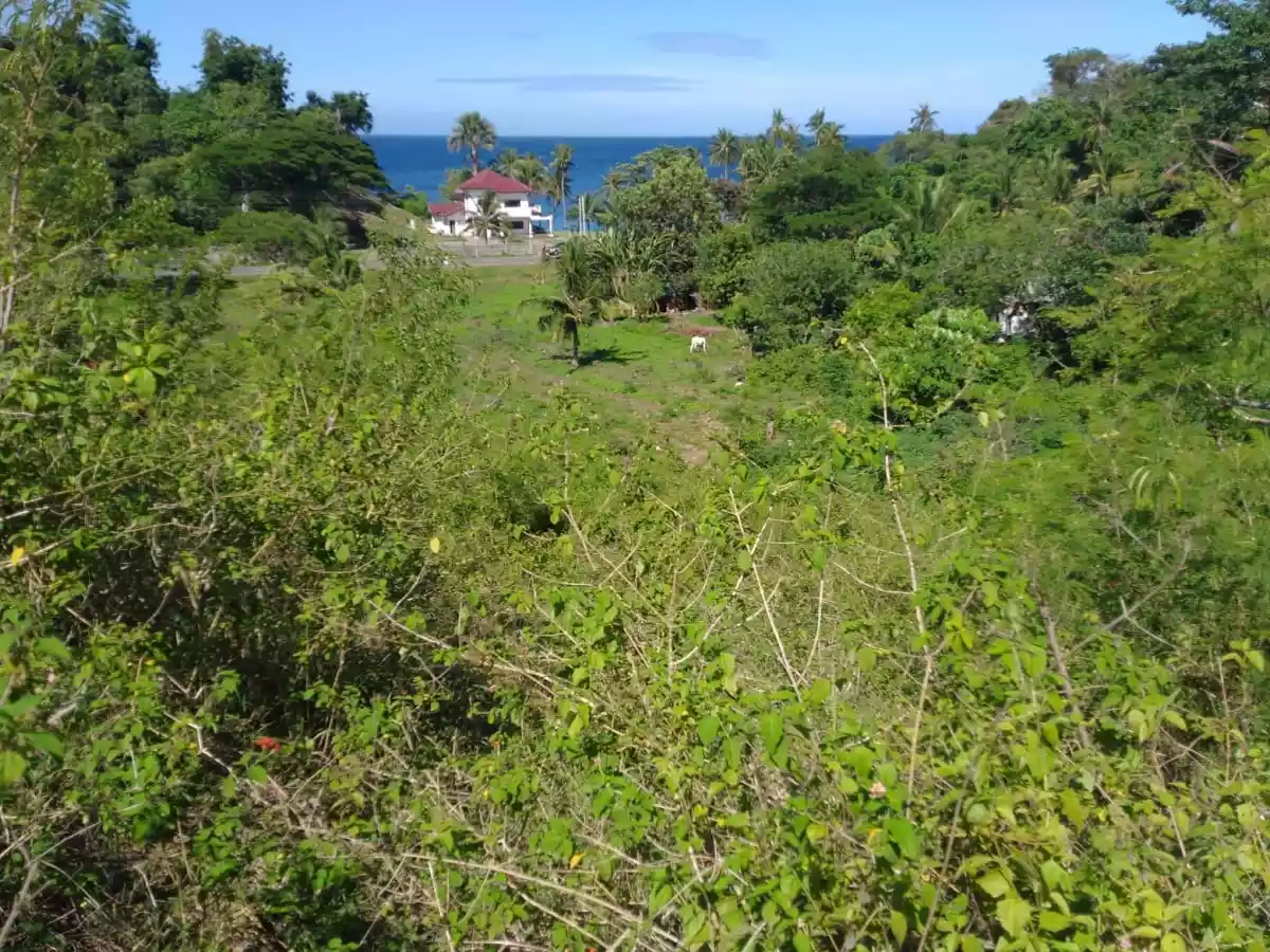 Original Certificate of Title  - photo 5