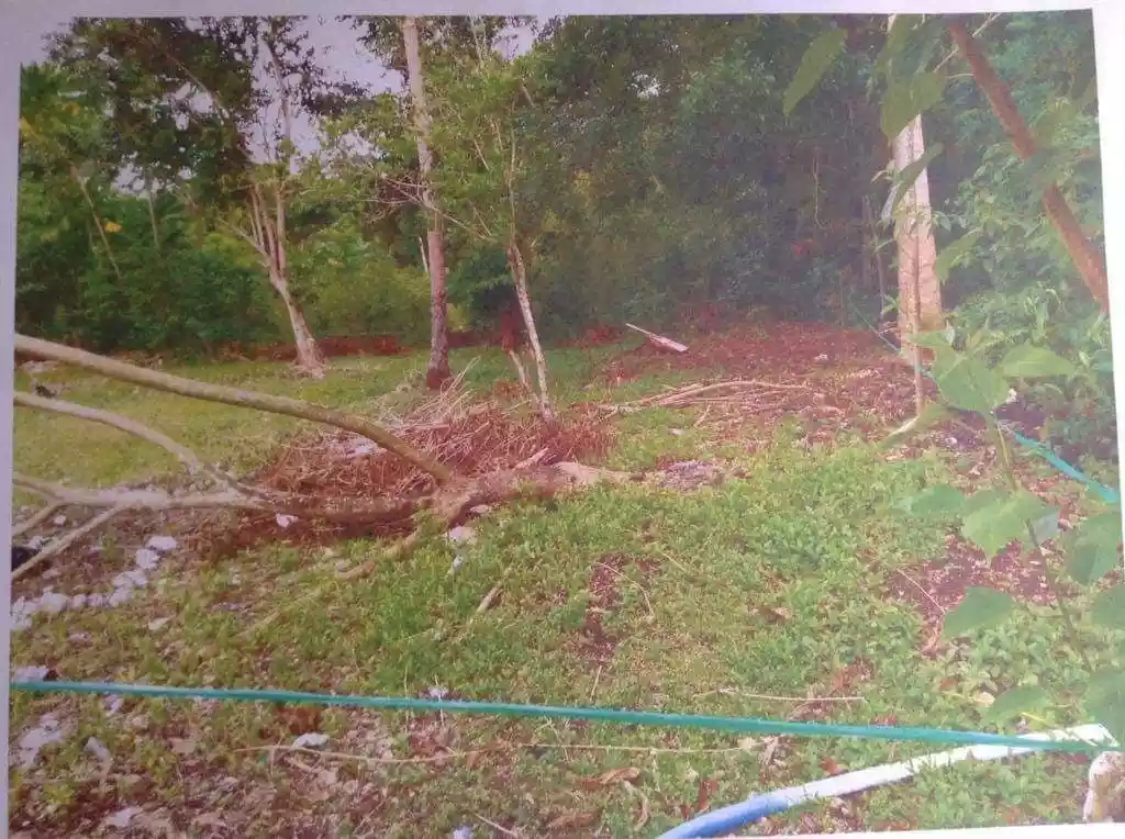Residential Lot at Dauis Panglao Bohol