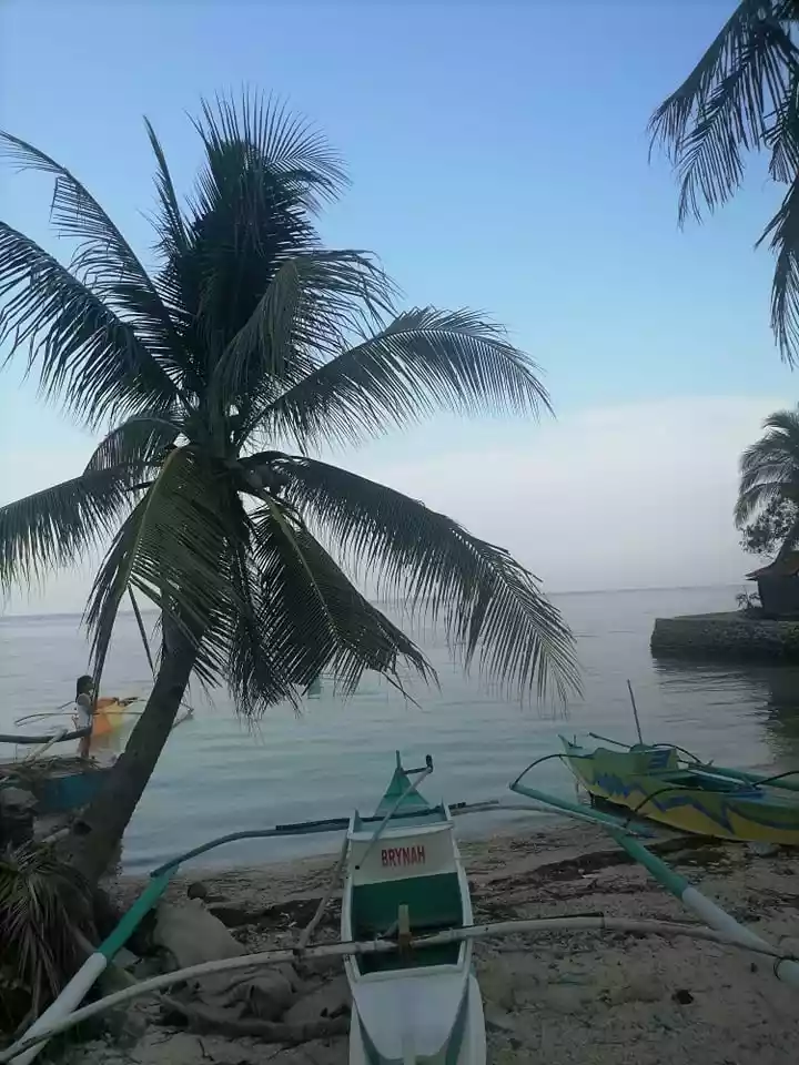 OSLOB BEACH LOT — Beach Lot in Oslob, Cebu, Philippines — Photo 4