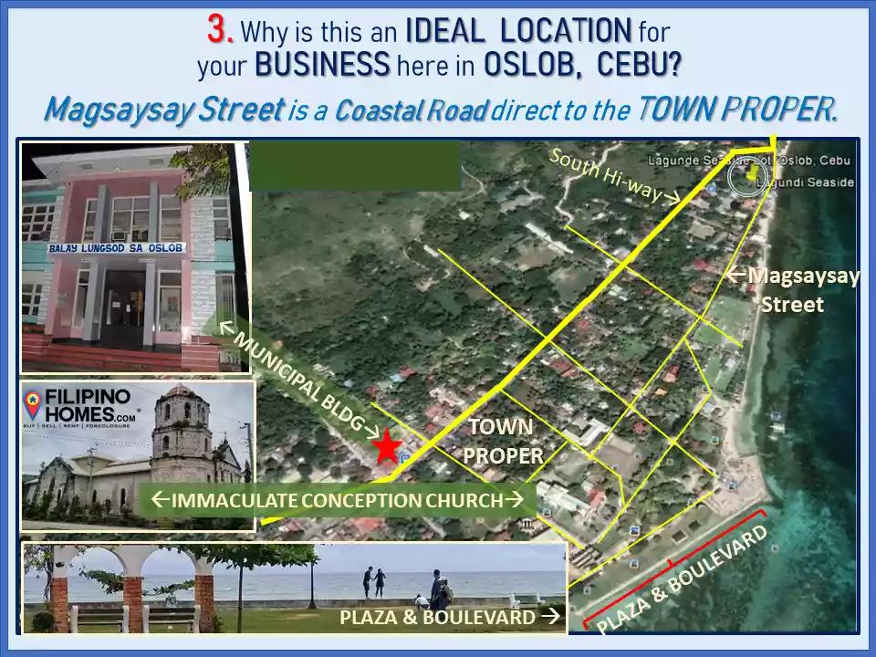 Why See the 9 PROFITABLE ADVANTAGES of this SEAFRONT LOT across Lagunde Beach at Oslob, Cebu? — Beach Lot in Cebu, Philippines — Photo 5