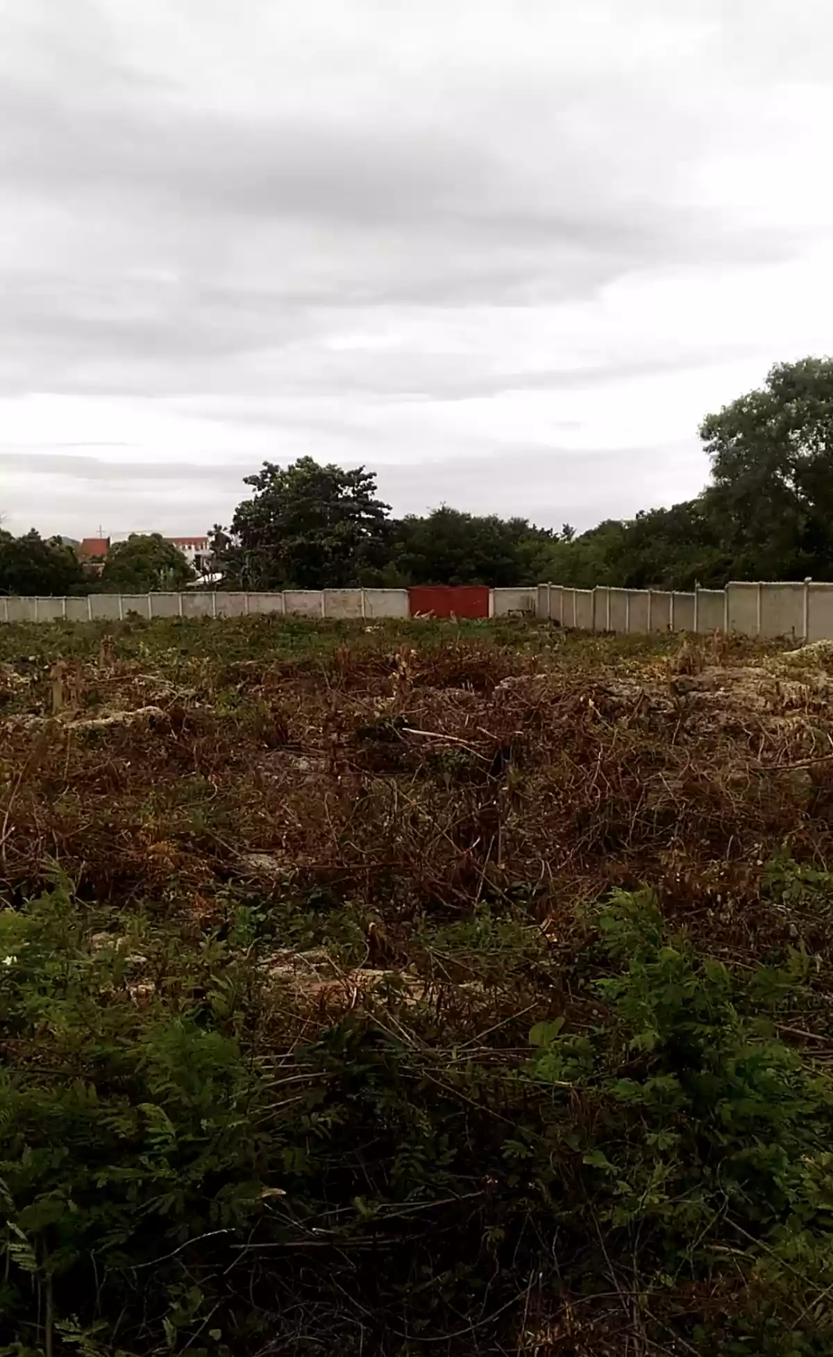 Lot For Sale in Mactan Lapulapu - photo 3