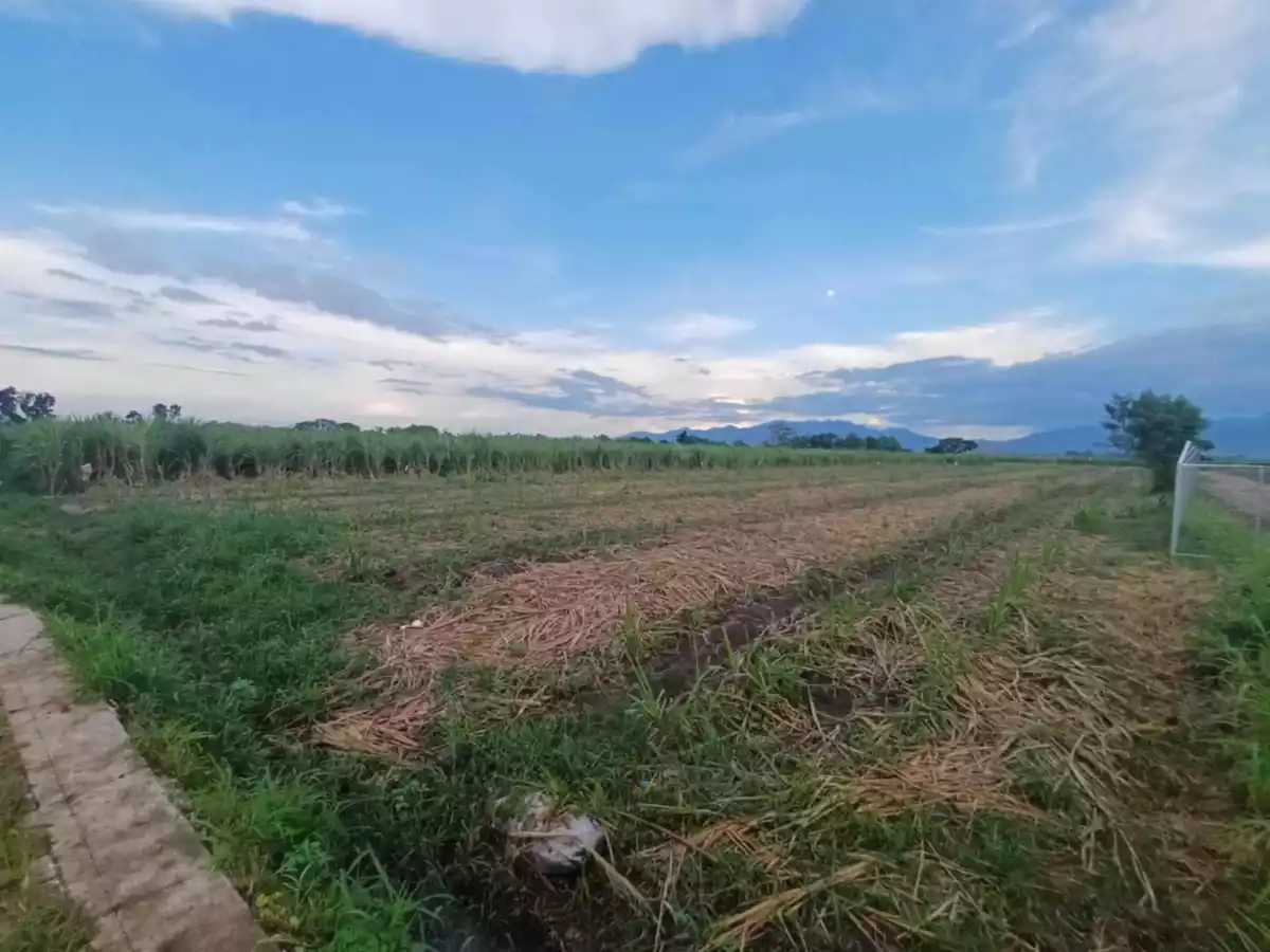 Lot - Silay City along Cir. Road going EB Magalona - photo 7