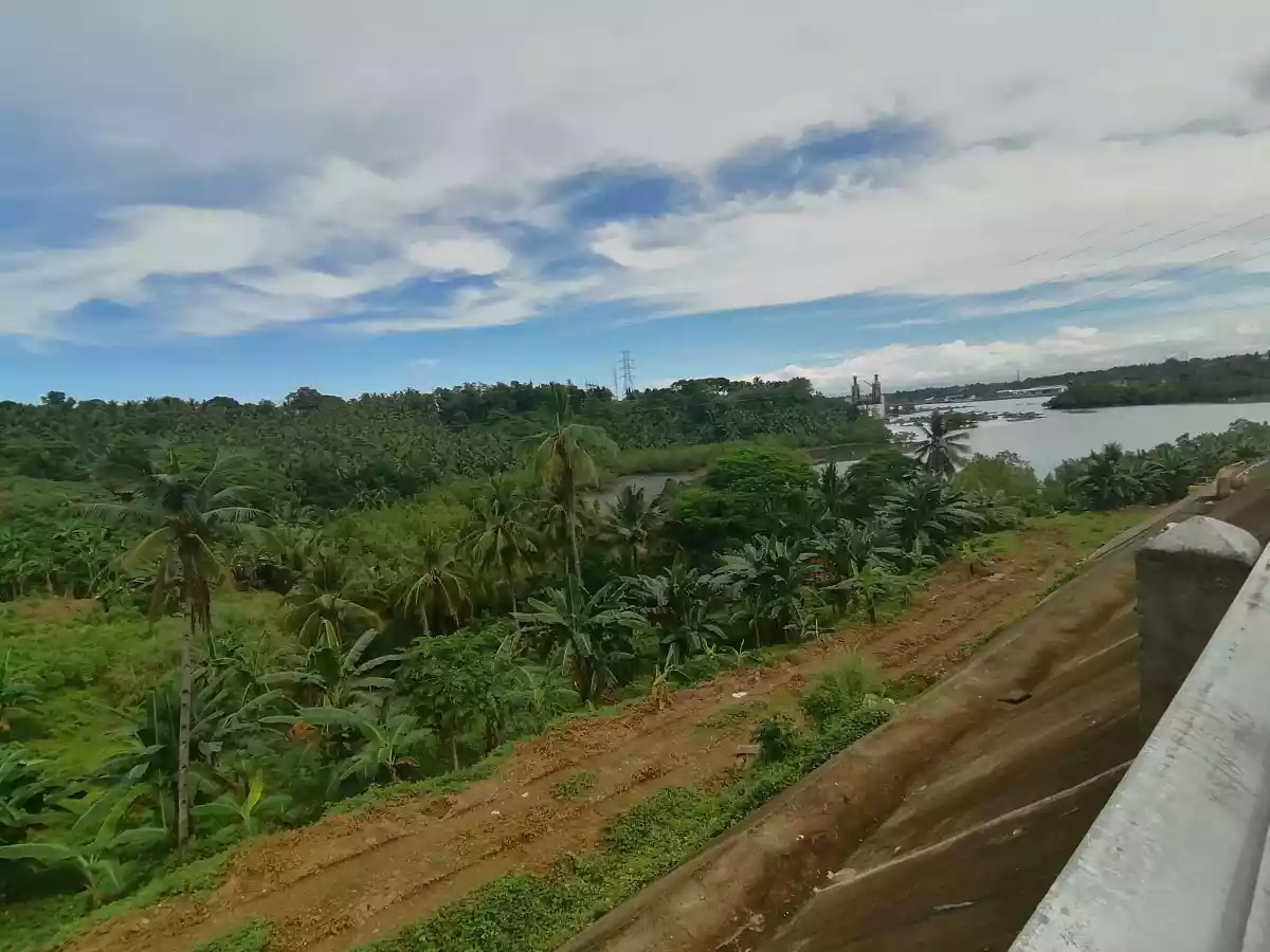 Land for SALE , Nasipit, Agusan Del Norte - photo 4