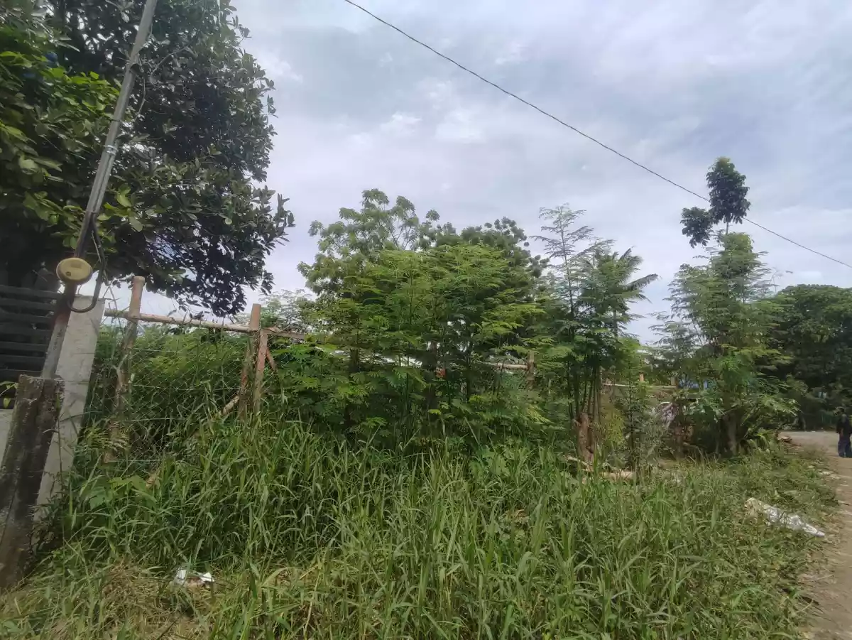 Residential Lot for sale — Residential Lot in General Santos City, South Cotabato, Philippines — Photo 7
