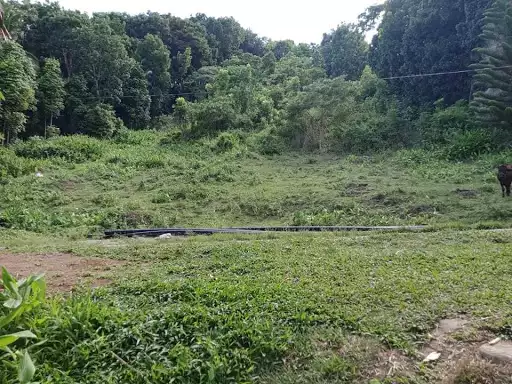 A Parcel of Land — Agricultural Lot in Negros Oriental, Philippines — Photo 4