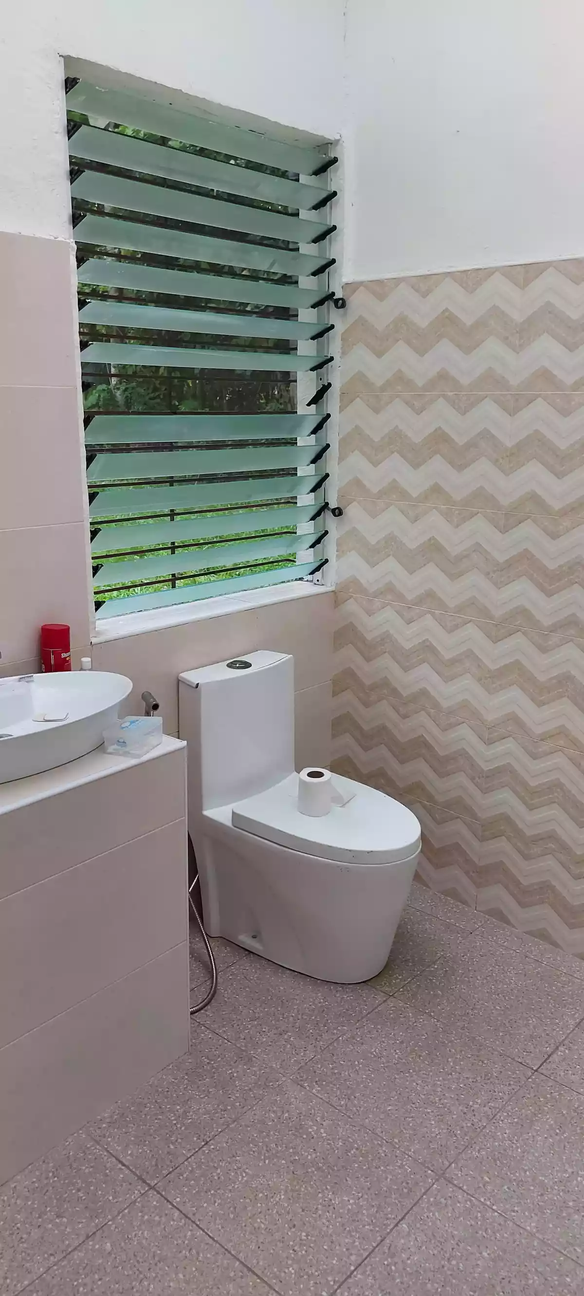 House for Rent in Sibulan - photo 5