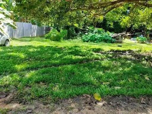 Clean Titled Lot For sale in Bohol