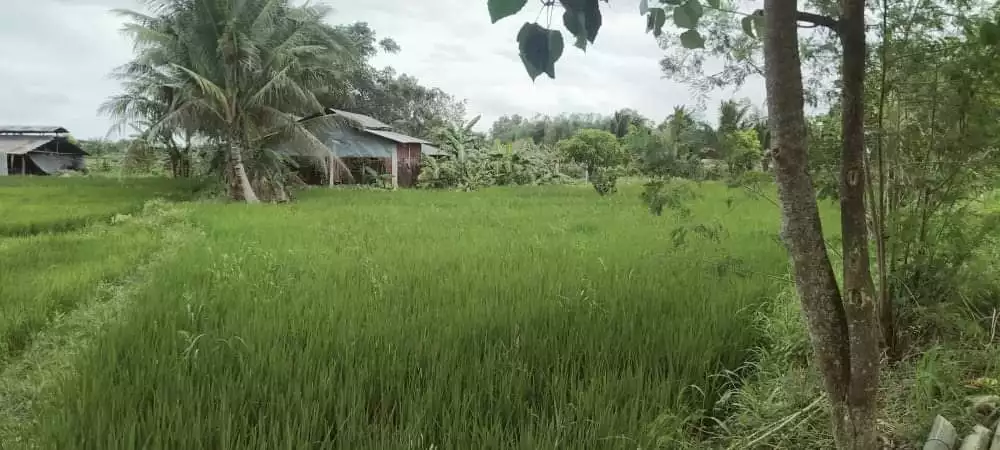 1000 Sqm Farm Lot - photo 3