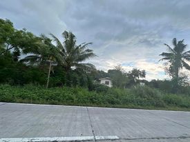 1 HECTARE MANGO FARM — Agricultural Lot — Photo 3