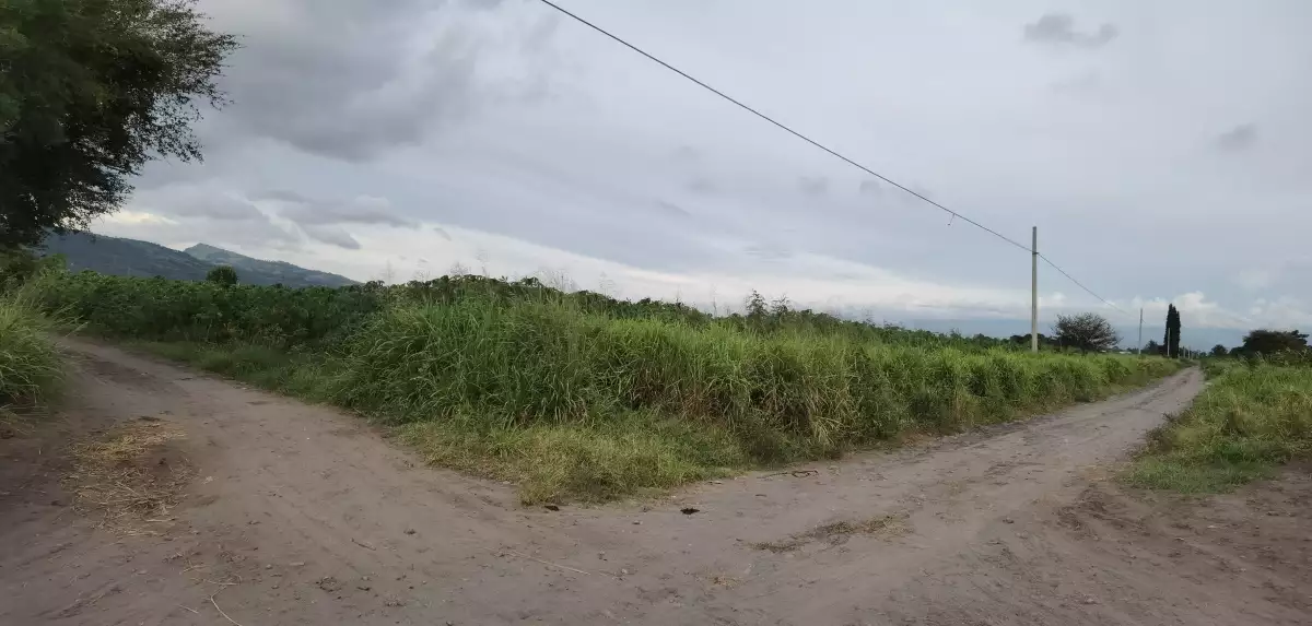 12 Hectares Land in Brgy. Mabuhay  - photo 4