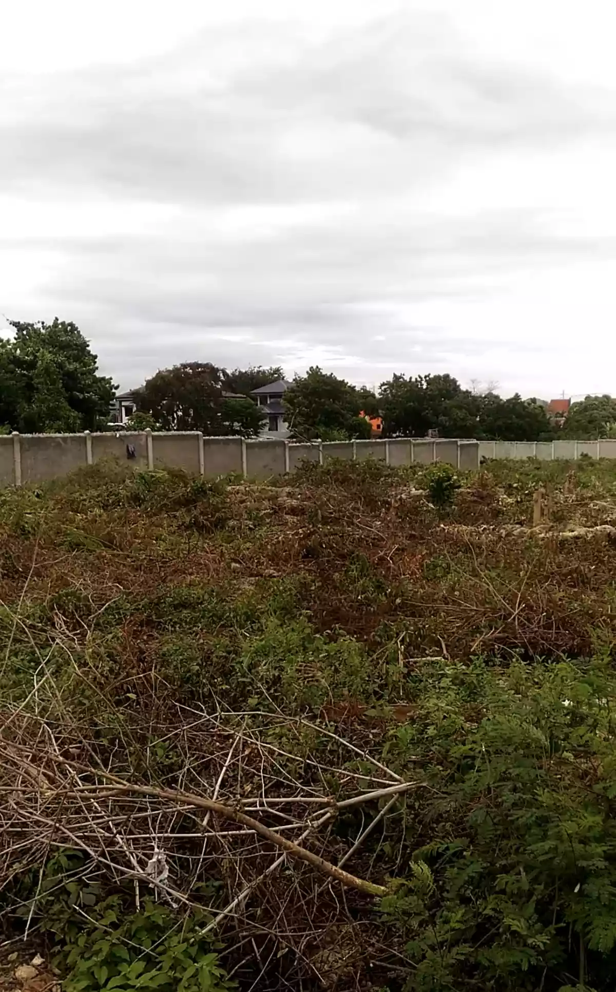 Lot For Sale in Mactan Lapulapu