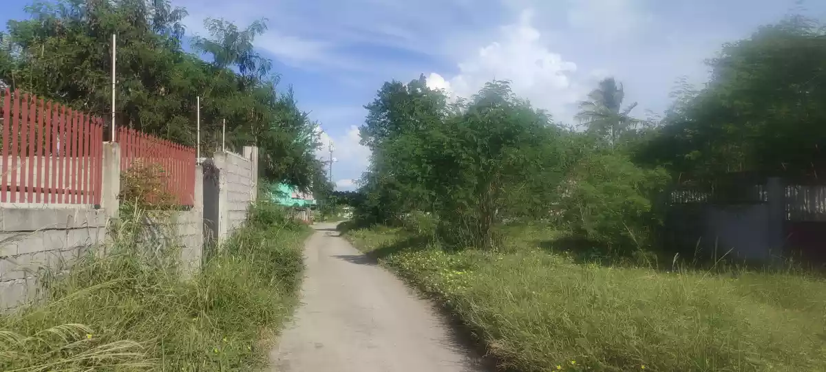 375 sqm residential lot for sale in Brgy Tambler GSC fully concrete fenced with gate - photo 4