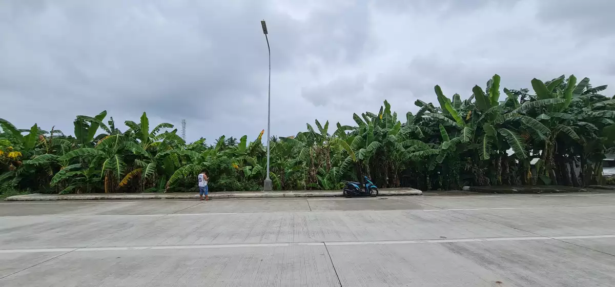 LOT along Sibulan Diversion Road — Residential Lot in Sibulan, Negros Oriental, Philippines — Photo 2