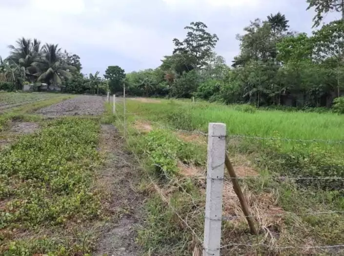 560sqm lot for sale in Anas Subd  Lagao — Residential Lot in General Santos City, South Cotabato, Philippines — Photo 5