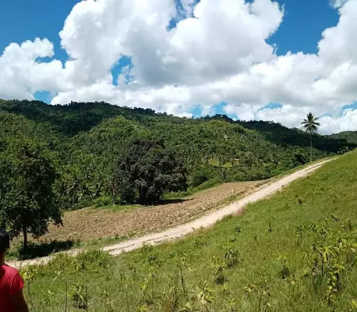 Very rush sale farm lot — Agricultural Lot in Cebu, Philippines — Photo 7
