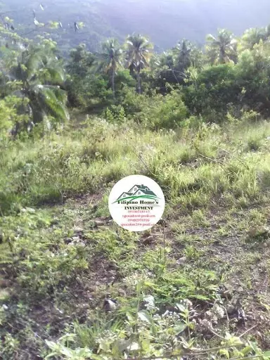 Very rush agri lot — Agricultural Lot in Cebu, Philippines — Photo 7