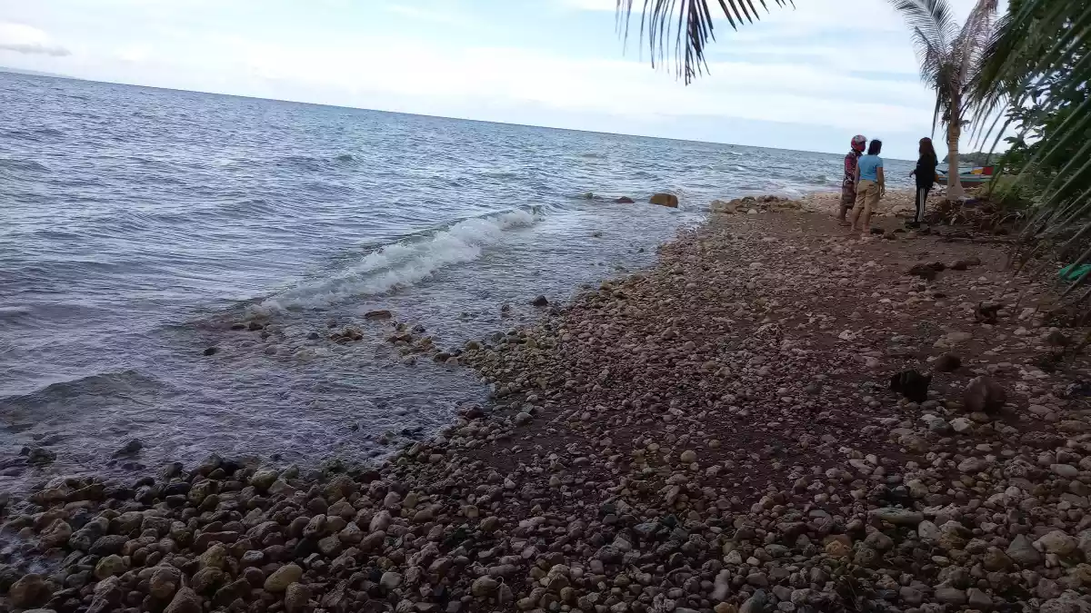 Tax dec — Beach Lot in Catmon, Cebu, Philippines — Photo 6