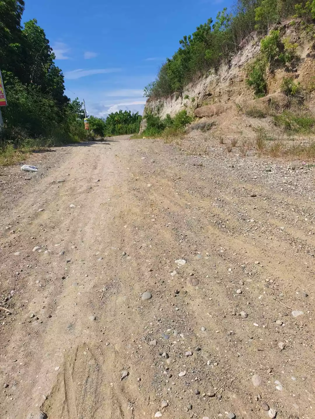 20125 — Agricultural Lot in Lun Padidu, Malapatan, Sarangani — Photo 3