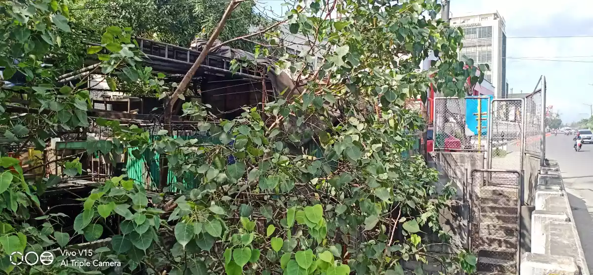Commercial/Prime Lot For Sale in Tipolo, Mandaue City - photo 6