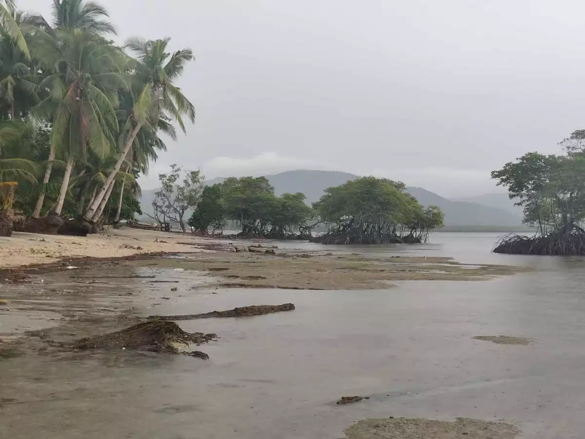 Open photo 14 of 15 — Beach Front Property for Sale (Sipalay)