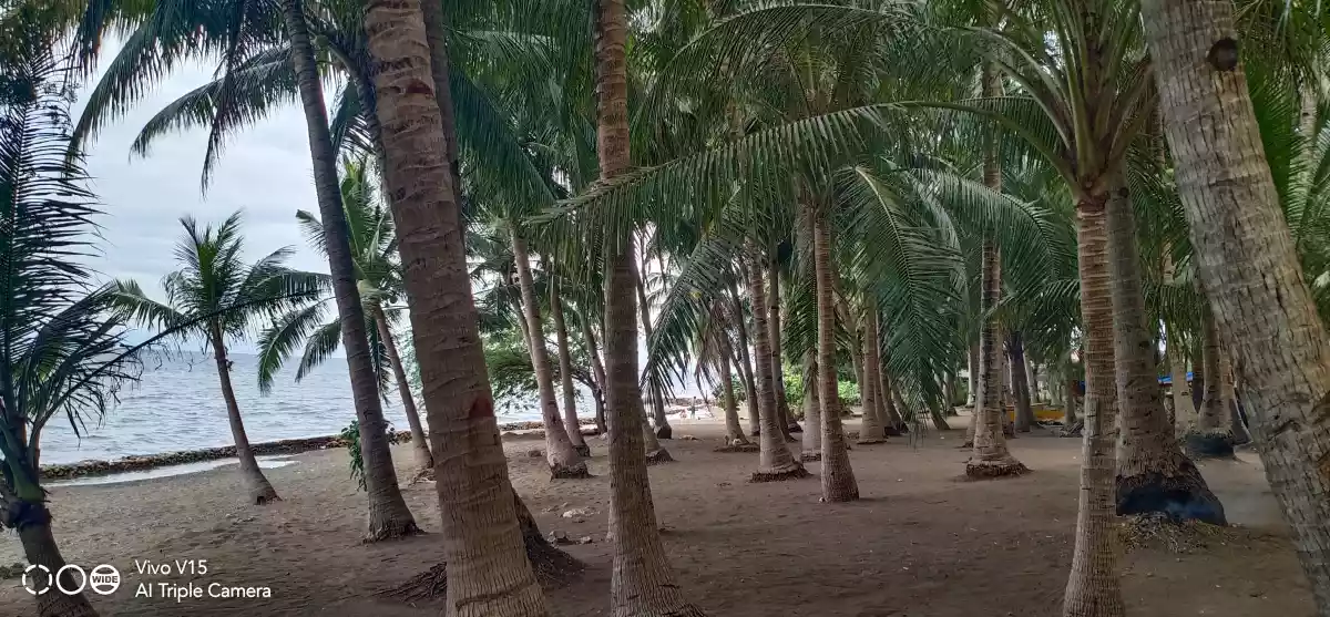 COMMERCIAL/BEACH LOT FOR SALE IN DANAO CITY - photo 2