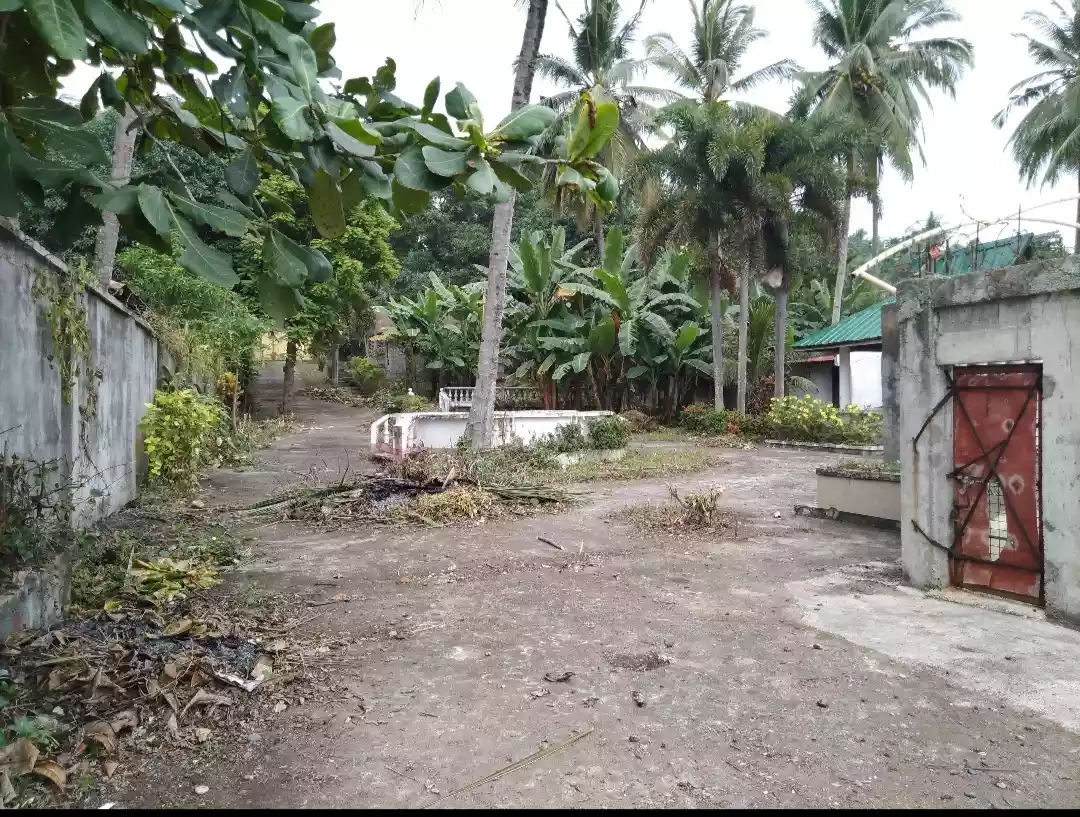 Beach Resort forsale - photo 5