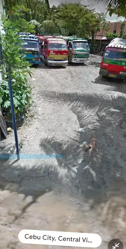 559sqm Residential Lot Basak San Nicolas — Residential Lot in Cebu City, Cebu, Philippines — Photo 6