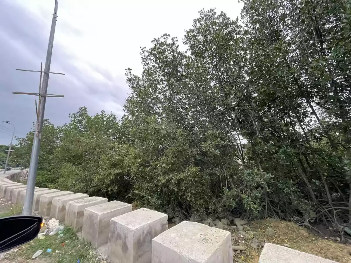Lot only for sale — Industrial Lot in Consolacion, Cebu, Philippines — Photo 3