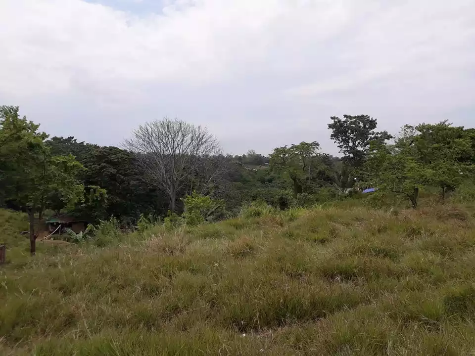 UPTOWN CAGAYAN DE ORO CITY RESIDENTIAL LOT
