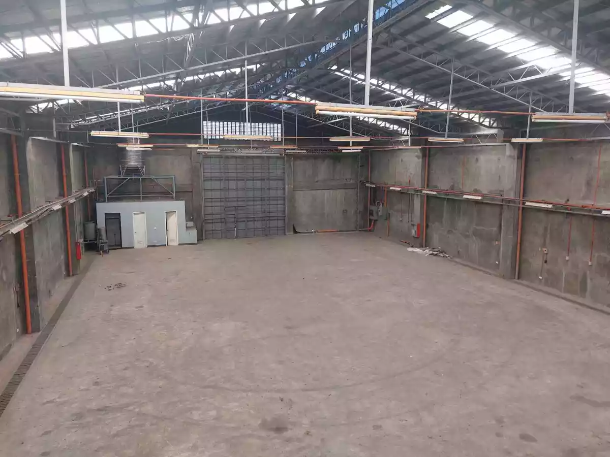 FOR SALE or RENT — Warehouse in Araneta Avenue, Bacolod, Negros Occidental — Photo 4