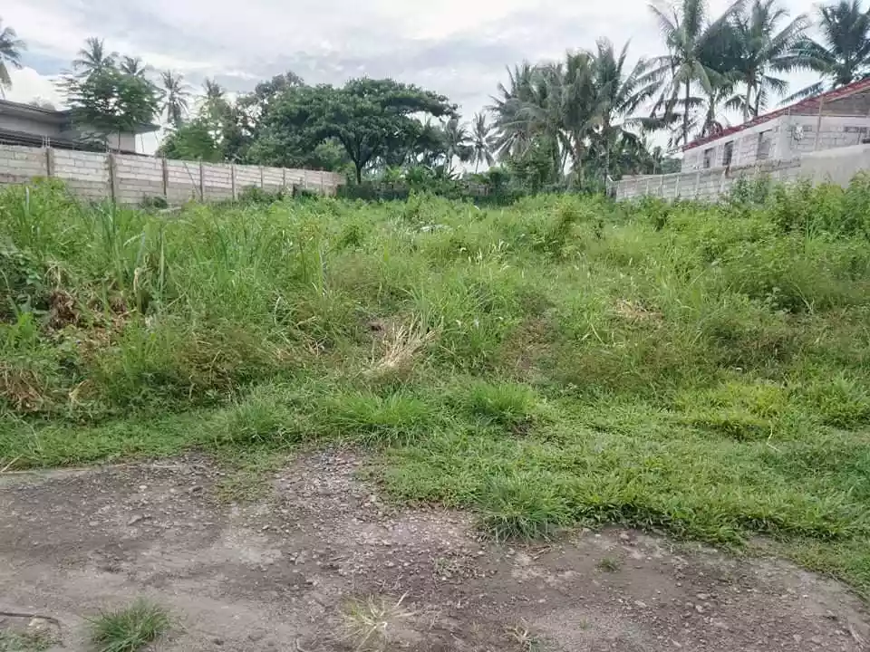 LOT FOR SALE  - photo 2