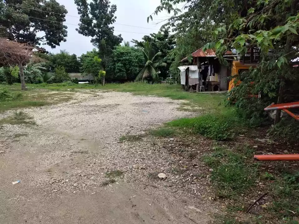 Lot for Sale  - photo 3