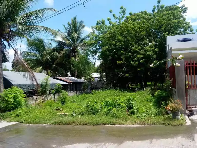 Rush! 250 sqm lot for sale — Residential Lot in South Cotabato, Philippines — Photo 3