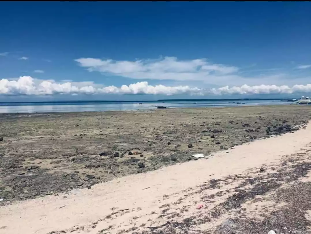 Beachlot for sale — Beach Lot in Philippines — Photo 6