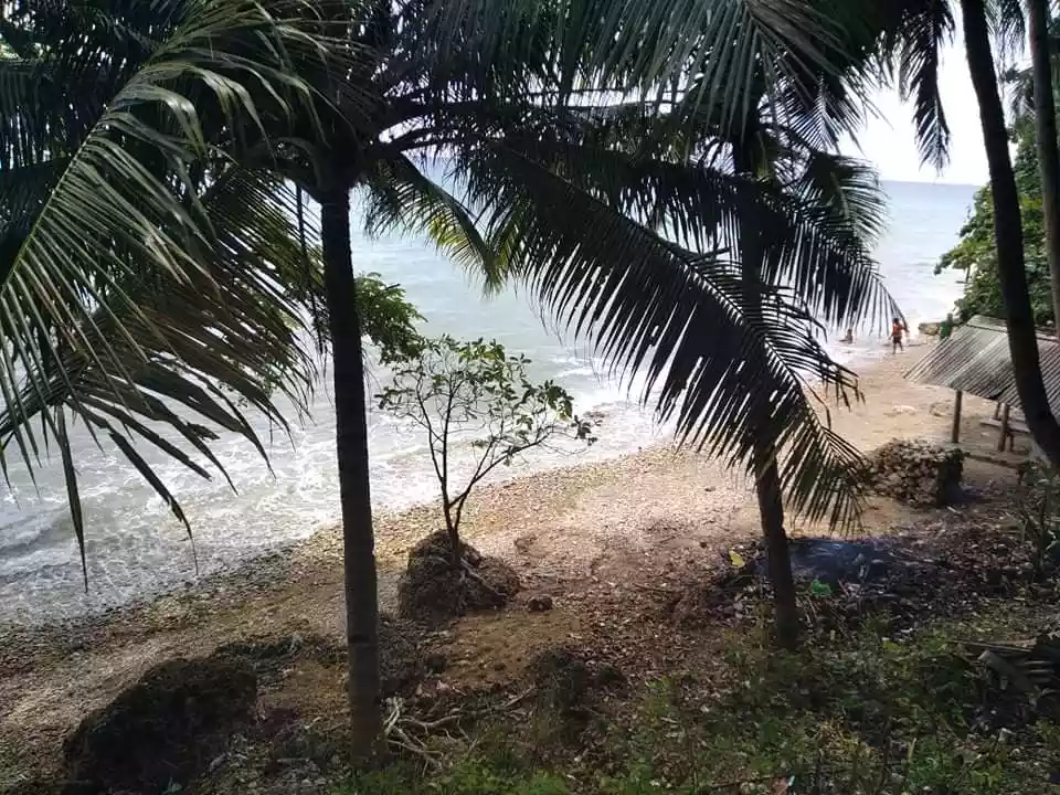 Open photo 14 of 15 — Beachlot